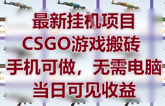 最新挂G项目，CSGO游戏搬砖，手机可做，无需电脑，当日见收益【揭秘】-一号资源库