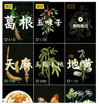 抖音中草药赛道，用AI做中草药故事视频，45条作品涨粉13W，橱窗带货猛猛出单-一号资源库