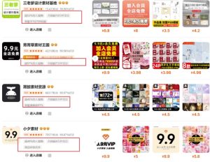 0成本虚拟项目实战手把手教你落地，单店月入5k-一号资源库