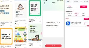 毕业生求职项目拆解_脉脉拉新空白市场,蓝海开局-一号资源库