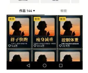 超高变现的短视频减肥细分赛道，减肥账号抖音实战训练营-一号资源库