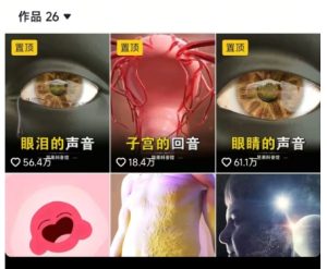 抖音坚果3D动画科普项目，撸视频号分成和抖音伙伴计划，适合零基础小白-一号资源库