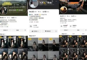 抖音图文文案赛道新玩法,快速养号起号,广告收益分成+橱窗带货+教学收徒等-一号资源库