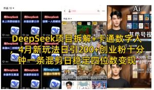 DeepSeek项目拆解+卡通数字人,4月新玩法日引200+创业粉十分钟一条混剪日稳定四位数变现-一号资源库