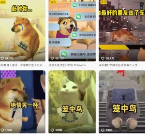 狗头幸运星UE5动画全套课程，从入门到实操全掌握-一号资源库