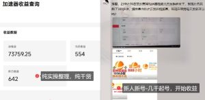 游戏加速器项目4.0_最新打法思路（爱玩游戏也能边玩边被动收益）-一号资源库