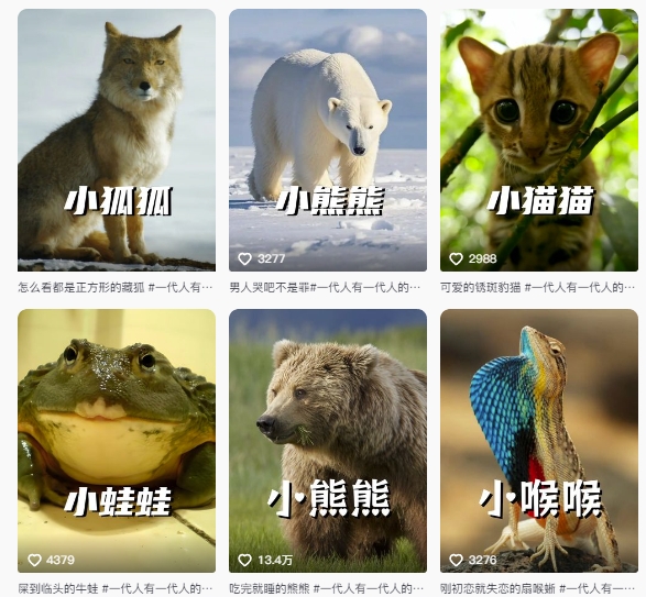 最新搞笑动物百科详细解说课程，蓝海赛道，流量非常大，轻松签独家进精选-一号资源库