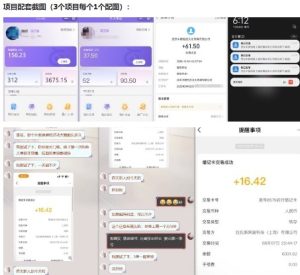 当天能收益的3个小项目拆解_包括平台+操作流程-一号资源库