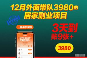 12月外面带队3980的居家副业项目,一部手机实测3天到账9张+,首发教程【揭秘】-一号资源库