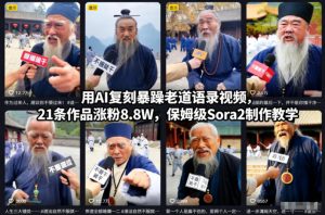 用AI复刻暴躁老道语录视频,21条作品涨粉8.8W,保姆级Sora2制作教学-一号资源库