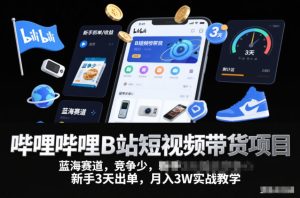 哔哩哔哩B站短视频带货项目，蓝海赛道，竞争少，新手3天出单，月入3W实战教学-一号资源库