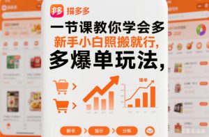 一节课教你学会拼多多爆单玩法，新手小白照搬就行-一号资源库