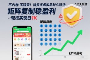 不内卷不踩雷！拼多多虚拟品长久玩法，矩阵复制稳盈利，轻松实现日1K【揭秘】-一号资源库