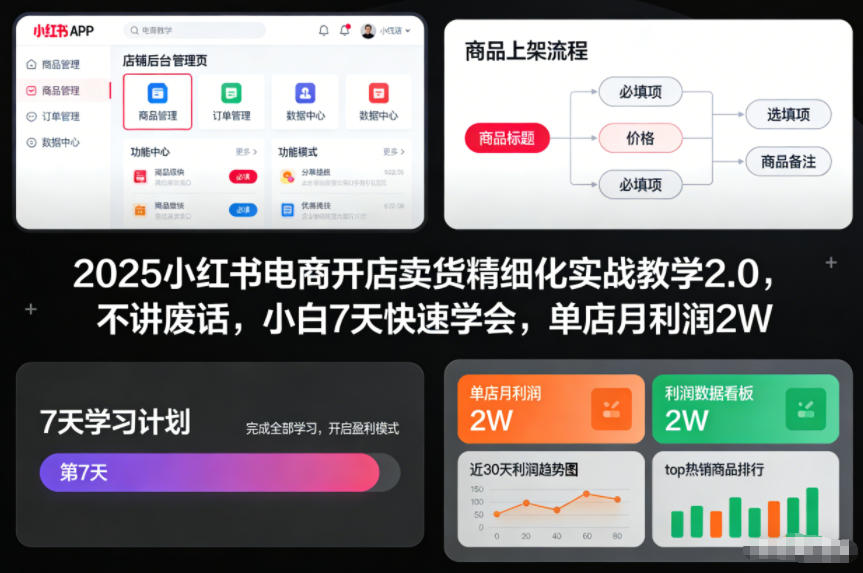 2025小红书电商开店卖货精细化实战教学2.0，不讲废话，小白7天快速学会，单店月利润2W-一号资源库