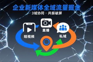 短视频全域商业模式，企业新媒体全域流量掘金，3域协同，共振破屏，短视频-直播-私域-地域-一号资源库