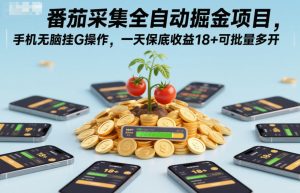 番茄采集全自动掘金项目，手机无脑挂G操作，一天保底收益18+可批量多开【揭秘】-一号资源库