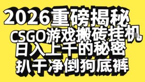2026开年重磅解密，CSGO游戏搬砖挂G日入1k+的秘密，把倒狗的底裤扒干【揭秘】-一号资源库