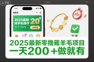 2025最新零撸薅羊毛项目，纯手机操作，20秒一单，无任何门槛，一天200+做就有【揭秘】-一号资源库