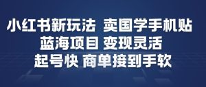 小红书新玩法，卖国学手机贴，蓝海项目，变现灵活，起号快，商单接到手软-一号资源库
