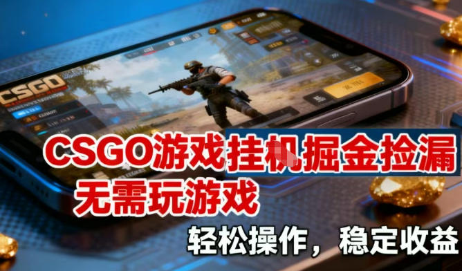 CSGO游戏挂G掘金捡漏，不需要玩游戏，操作简单，收益稳定【揭秘】-一号资源库