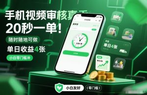 手机视频审核真香！20秒一单，随时随地可做，单日收益4张，小白零门槛冲【揭秘】-一号资源库