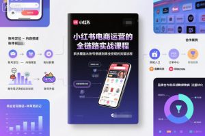 11月抖音某大V最新影视二创搬运技术，洗稿不违规，收费298-一号资源库