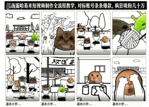 卤蛋哈基米短视频制作全流程教学，条条爆款，疯狂吸粉几十万-一号资源库