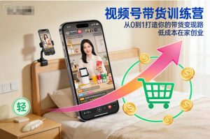 视频号带货训练营，从0到1打造你的带货变现路，低成本在家创业-一号资源库