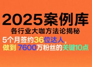 2025案例库，收录各行业大咖的方法论，各行业大咖方法论揭秘-一号资源库