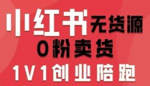 小红书无货源0粉电商课，开店准备、选品策略、笔记撰写、视频剪辑、数据分析、账号打造、资料文档（更新）-一号资源库