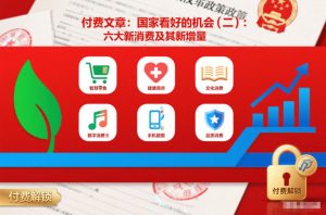 付费文章:国家看好的机会(二):六大新消费及其新增量-一号资源库