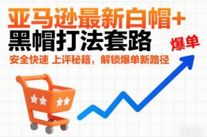 亚马逊最新白帽+黑帽打法套路，安全快速上评秘籍，解锁爆单新路径-一号资源库