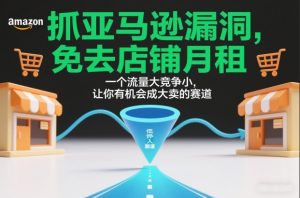 抓亚马逊漏洞，免去店铺月租，一个流量大竞争小，让你有机会成大卖的赛道-一号资源库